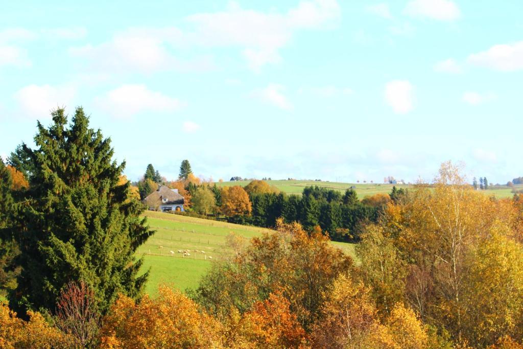 Les Alisiers Hotell Nadrin Exteriör bild